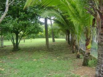Black sand Pacific Ocean beach on Rio Mar coastal land ideal for development