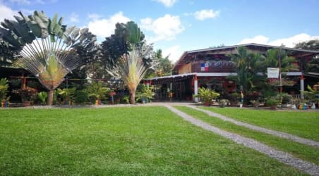 Large garden area with palm trees, two-story rustic wood home with porch in Boquerón