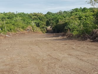Dirt road with natural greenery on 68 hectares farmland in Coclé Panama
