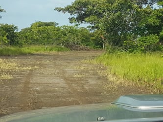 Wide dirt access road through open farmland in Coclé Rio Hato Panama