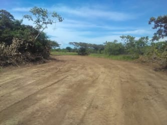 Clear dirt track through agricultural land in Coclé province Panama