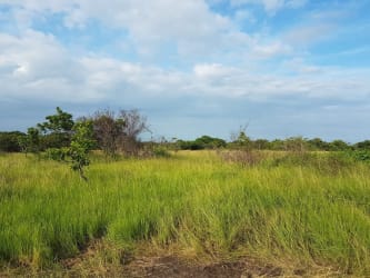 Expansive grassy field with natural landscape on Rio Hato land in Panama
