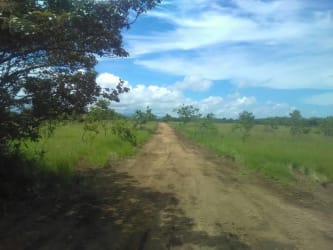 Open undeveloped farmland for sale in Coclé province, Panama