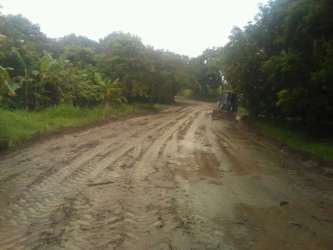 Rustic dirt road with small bridge providing access to farmland Rio Hato Panama