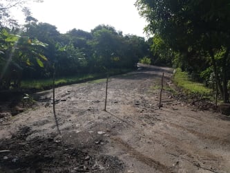 Dirt road and lush greenery on large development parcel in Coclé, Panama