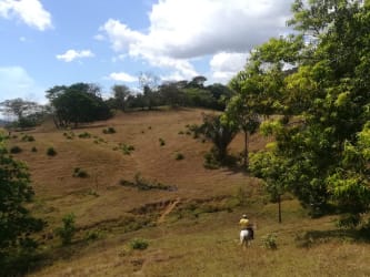 Open pastureland with hills perfect for livestock and crops Soná Veraguas
