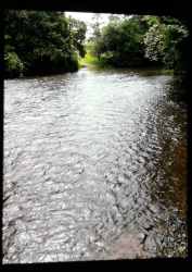 Property borders Cate River with lush forest in Soná Veraguas Panama ranch