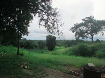 Subdivision land with approved 17-lot plan close to Playa Corona beach Panama