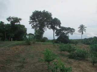 Land for Sale in Corona - 0 bedrooms