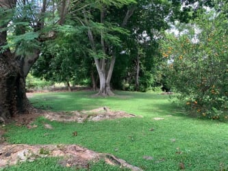 Spacious yard with greenery, mature shade trees and partial fencing in Coronado Panama