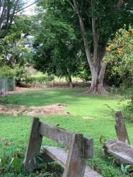 Lush backyard with mature trees and spacious lawn at Coronado beachside real estate