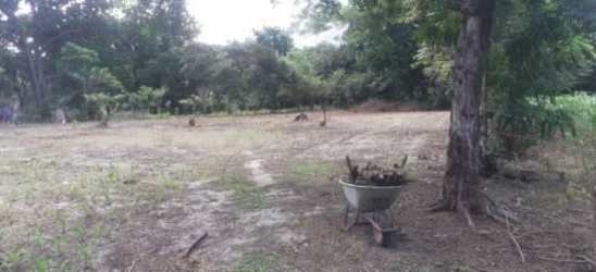 Rural land surrounded by greenery suitable for development in Bejuco Chame Panama