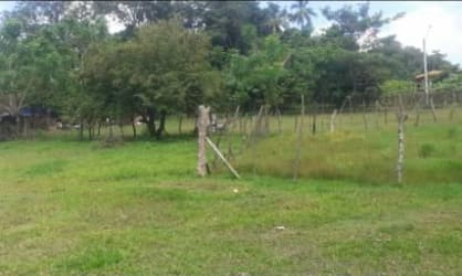 Large titled lot with green landscape for sale in Bejuco Chame Panama near Coronado beach