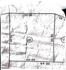 Commercial Land for Sale in Pueblo Nuevo - 0 bedrooms