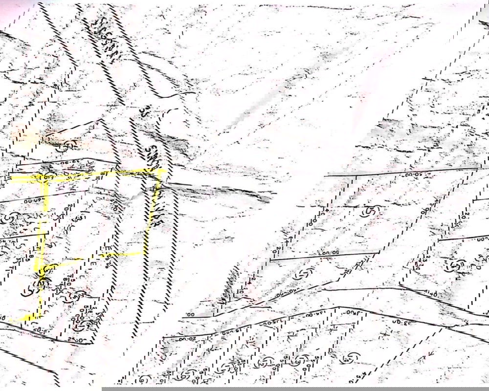 Cadastral land division showing commercial plots in neighborhood, near Transístmica Panama City