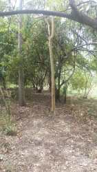 Veracruz Beachfront Lot for Hotel or Condo Development