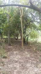 Beachfront Land for Sale in Veracruz - 0 bedrooms