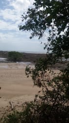 Natural vegetation with sand and trees on beachfront large lot Veracruz Panama