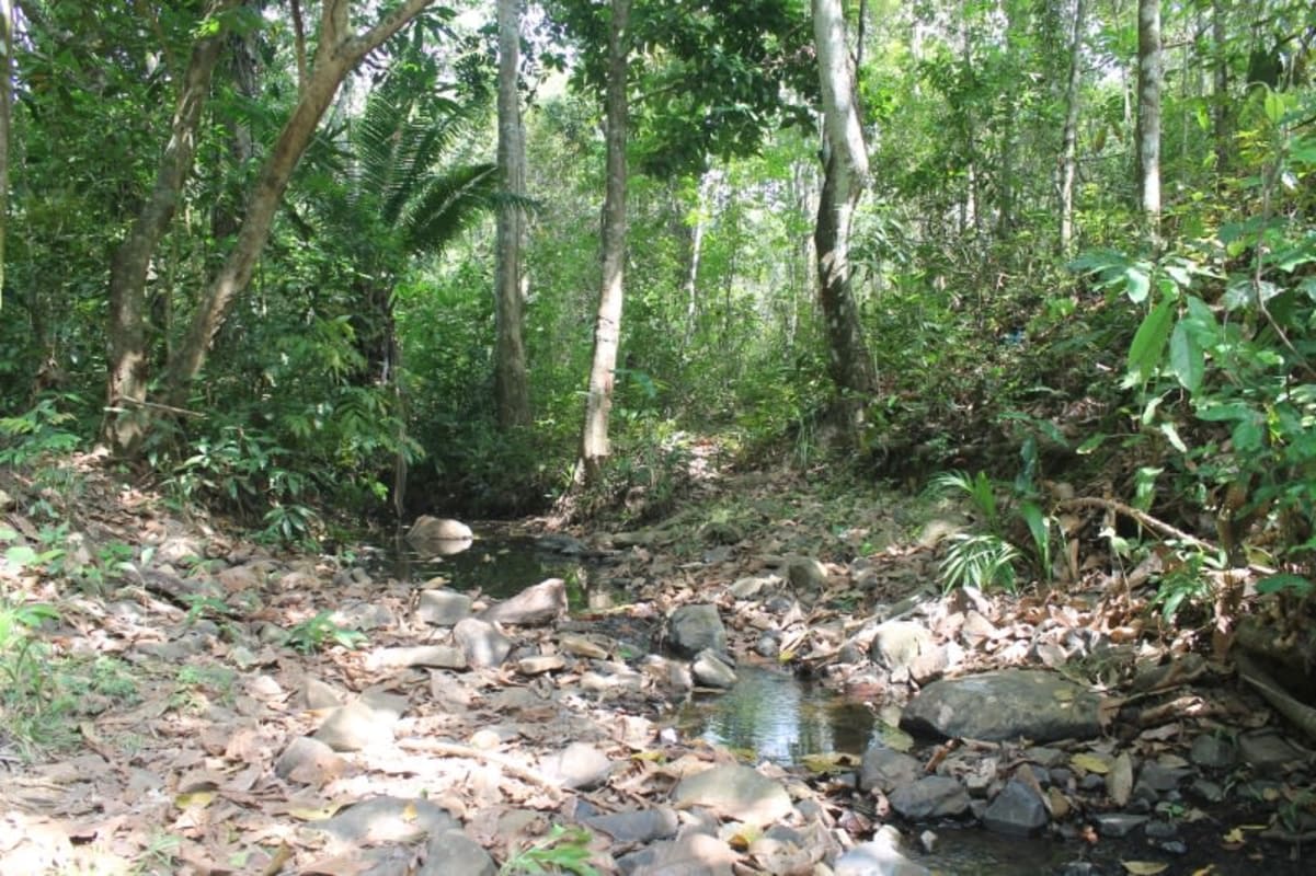 26.7ha Agroforestry Land for Sale Chilibre Panama | Casa Nova Realty - View 3