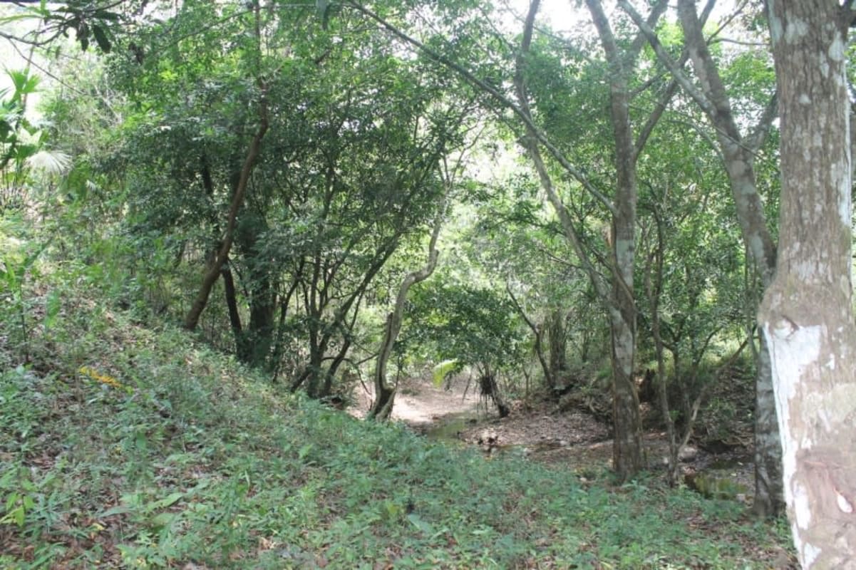 26.7ha Agroforestry Land for Sale Chilibre Panama | Casa Nova Realty - View 4