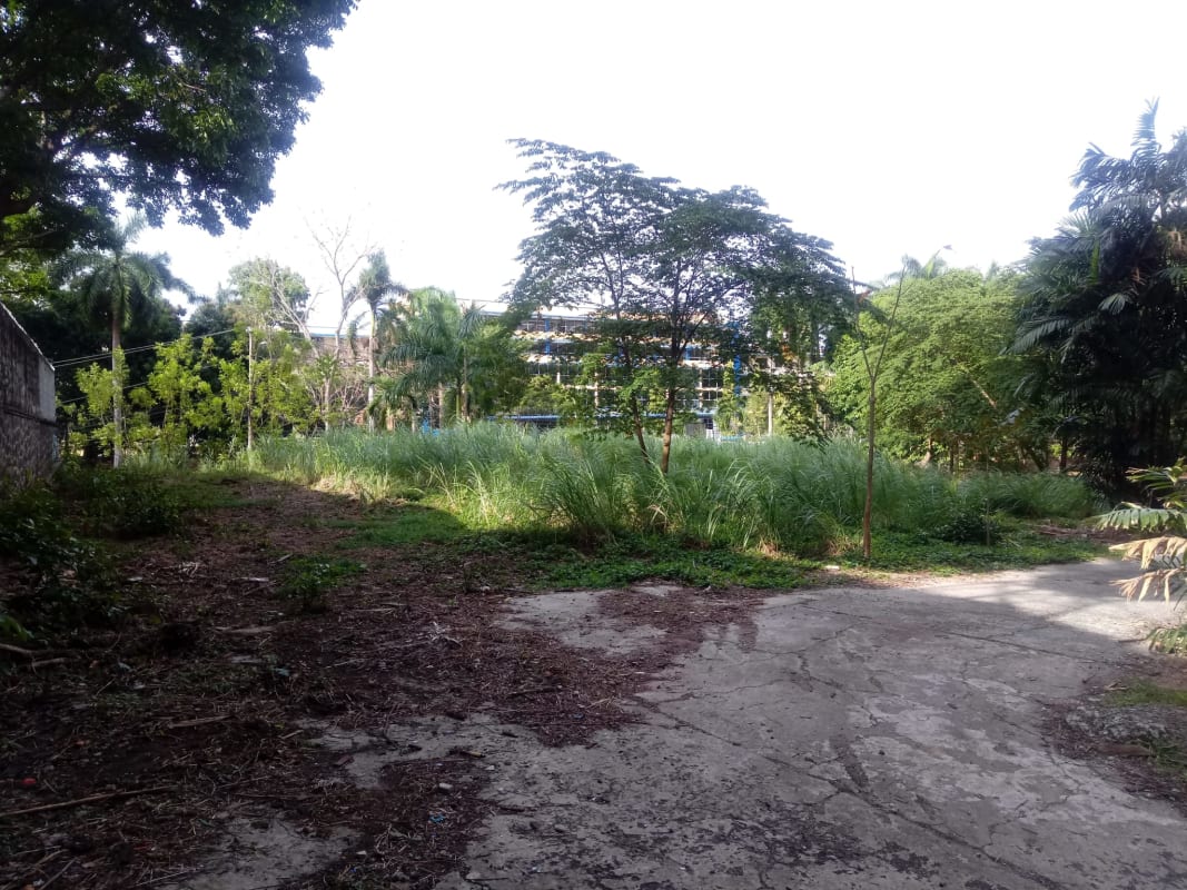 Urban development land with overgrown grass, boundary wall, near Colegio La Salle in El Cangrejo Panama
