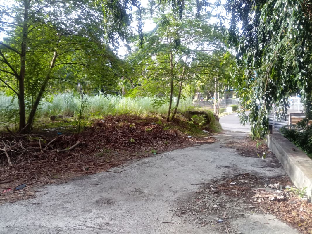 Vacant lot on paved street with trees and retaining wall, ideal for residential or commercial tower Panama City