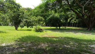 House for Sale in Punta Barco - 4 bedrooms