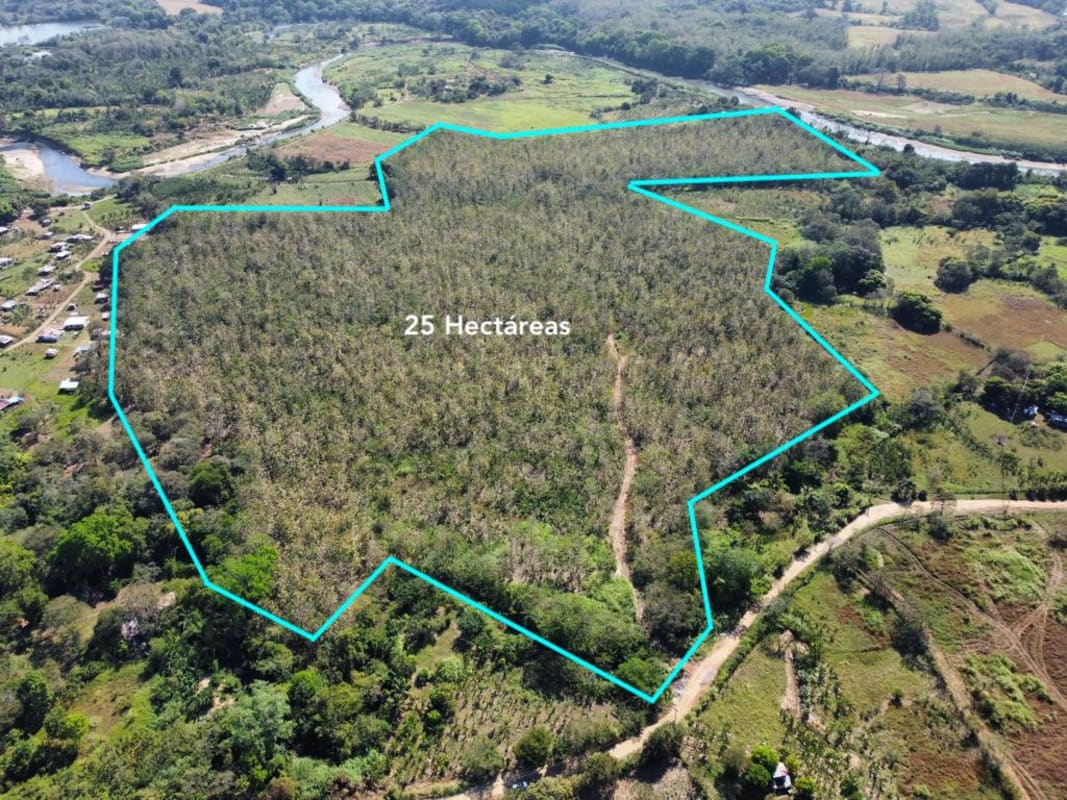 Mostly wooded flat acreage ideal for subdivision investment Pacora Panama