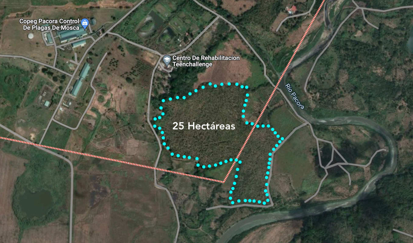25 hectare outlined land with river border access roads near Panama City for development