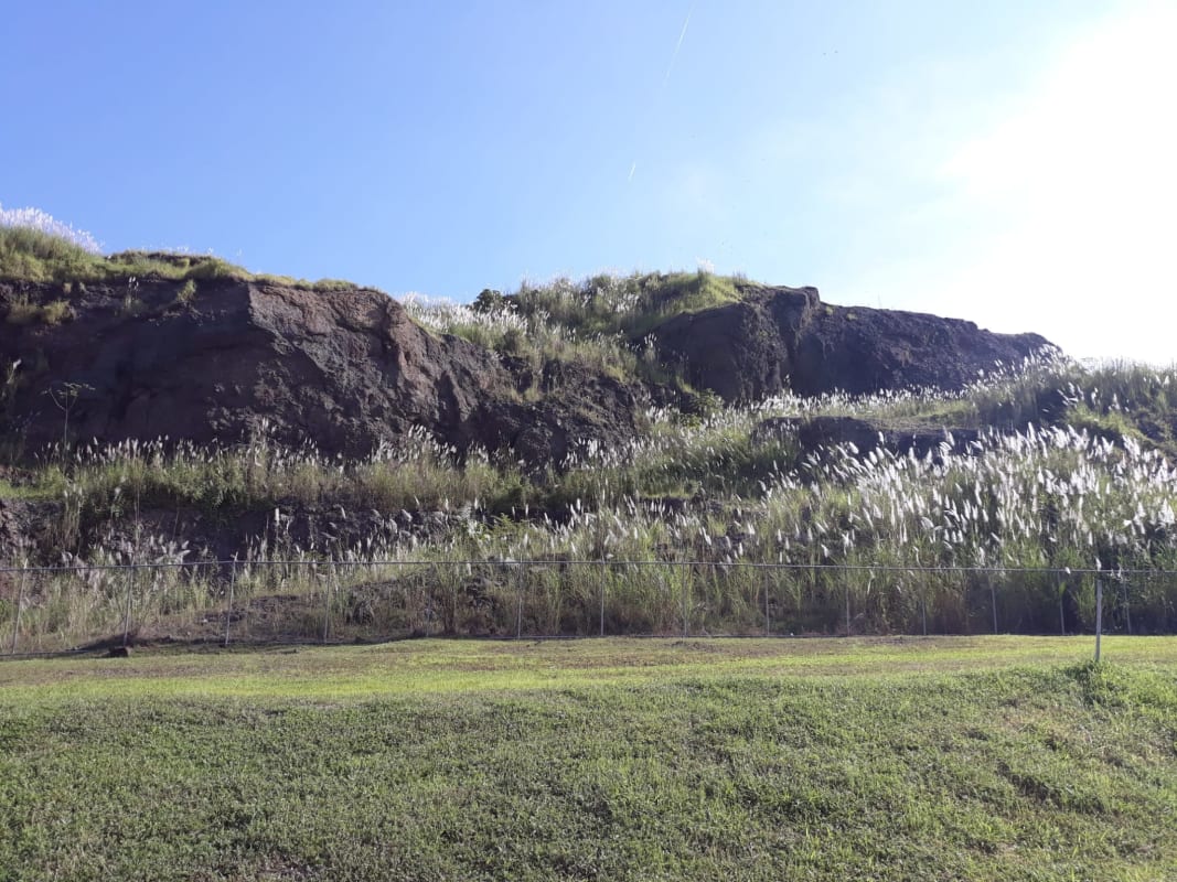 Rocky hill covered with wild grass under blue sky in Milla 8 Panama, fenced and ready for development.