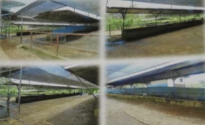 Covered cattle pens with metal roofs livestock farm Panama agricultural property
