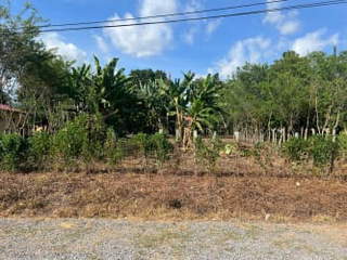 Land for Sale in Bugaba - 0 bedrooms