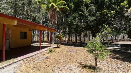 Rustic house with porch surrounded by mature trees Panama property sale