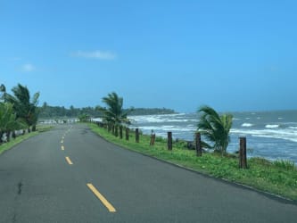 Expansive tropical grassy coastline with palm trees and sea view Costa Abajo Panama
