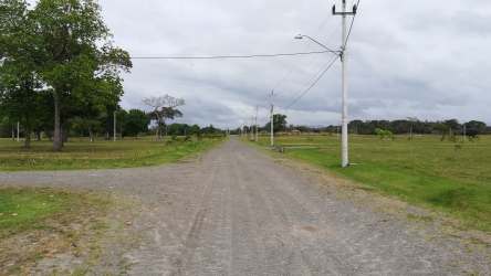 Grassy open plot with trees under blue sky perfect countryside lifestyle Villas Campestres