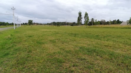 Infrastructure of access road, poles and bridge at Villas Campestres Rio Hato Anton Coclé