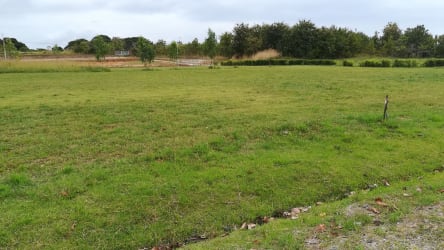 Spacious natural landscape with vegetation in Villas Campestres ideal for rural retreat