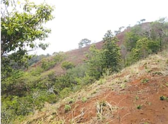 Hillside with sparse vegetation and red-brown earth Veraguas countryside