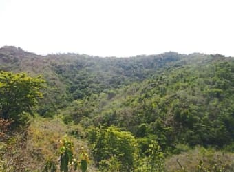 Hilly terrain covered with dense green forest in Los Callejones Mariato