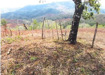 Rural hillside property with trees, wooden posts, scenic view Mariato Panama