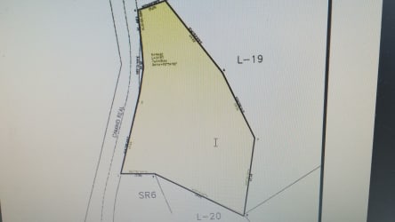 Gently sloping terrain with lawn and mature trees Punta Barco Resort for sale