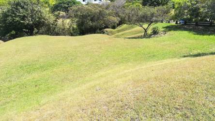 Sunny grassy hillside with palm and mature trees Punta Barco Resort Panama for sale