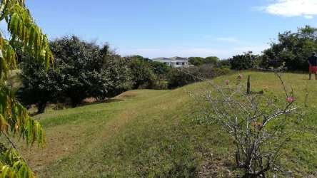 Vacant green land with distant estate house Punta Barco Resort Panama beachfront community