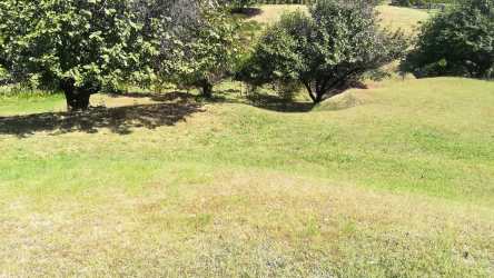 Gently sloped grassy parcel with mature landscaping Punta Barco beach property Panama