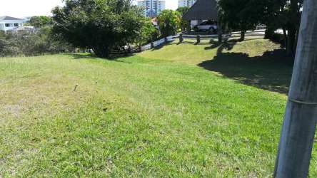 Paved internal access roads with landscaping Punta Barco Resort Coronado Panama