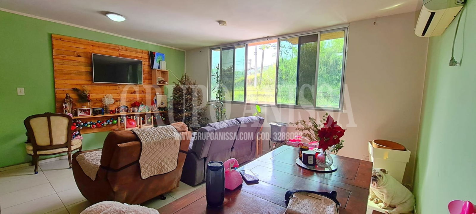 Living room with mounted TV, green accent wall, large windows, sofas PH Mallorca Park San Miguelito