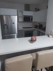 Modern kitchen with stainless appliances and quartz countertops in Puntarena Buenaventura Panama