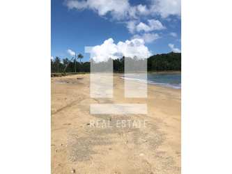 Pristine sandy coastline with palm trees on Caribbean Sea in Palenque Panama real estate lot