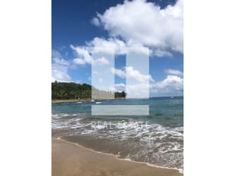 Tropical sandy beachfront with palm trees and blue Caribbean waters in Palenque, Panama