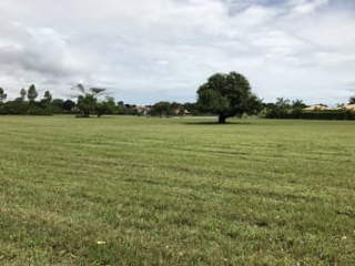 Land Lot for Sale in El Chirú - 0 bedrooms